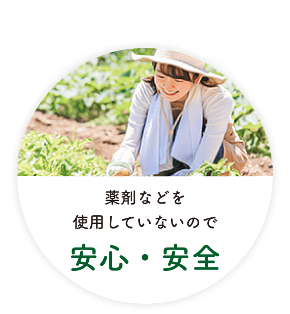 薬剤などを使用していないので安心・安全