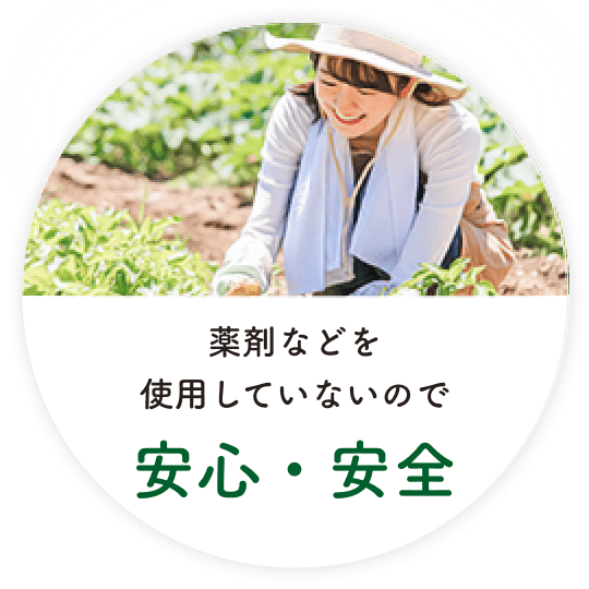 薬剤などを使用していないので安心・安全
