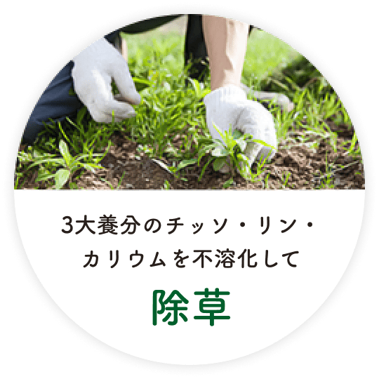 3大養分のチッソ・リン・カリウムを不溶化して除草