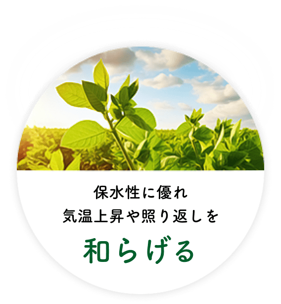 保水性に優れ気温上昇や照り返しを和らげる