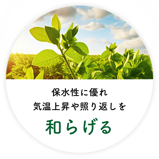 保水性に優れ気温上昇や照り返しを和らげる