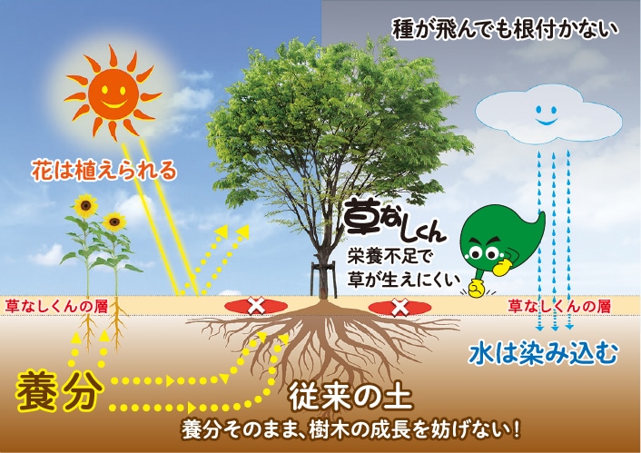 メカニズムの説明図